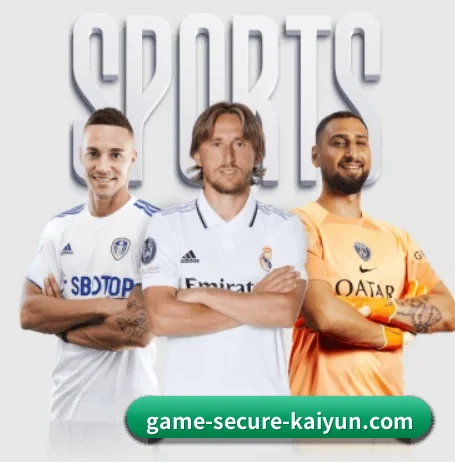 五大服务分区,信息按项目分类 | kaiyun